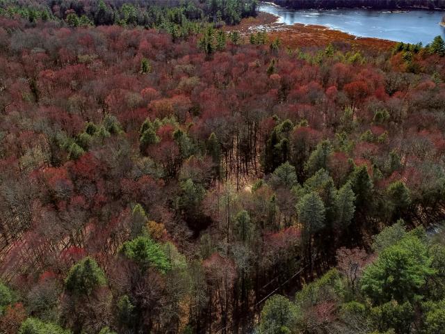 Land for sale in Bethel, New York