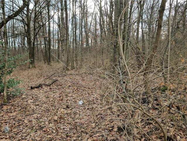 Land for sale in New Castle, Pennsylvania