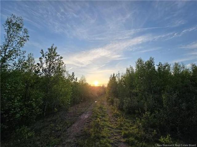 Land for sale in Studholm, New Brunswick