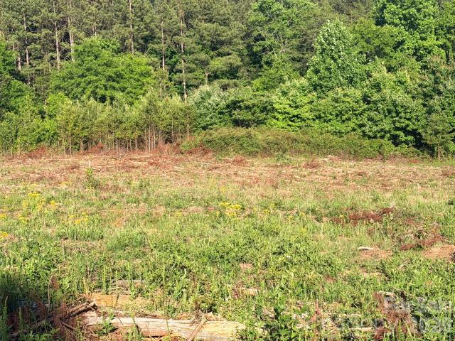 Land for sale in Rutherford, North Carolina