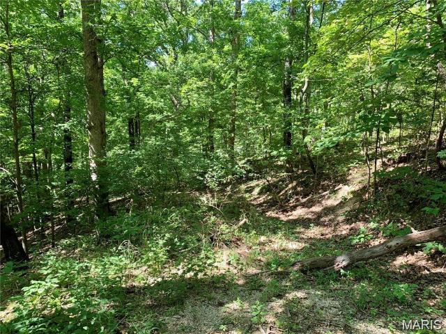 Land for sale in Missouri