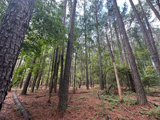 Land for sale in Parksville, South Carolina