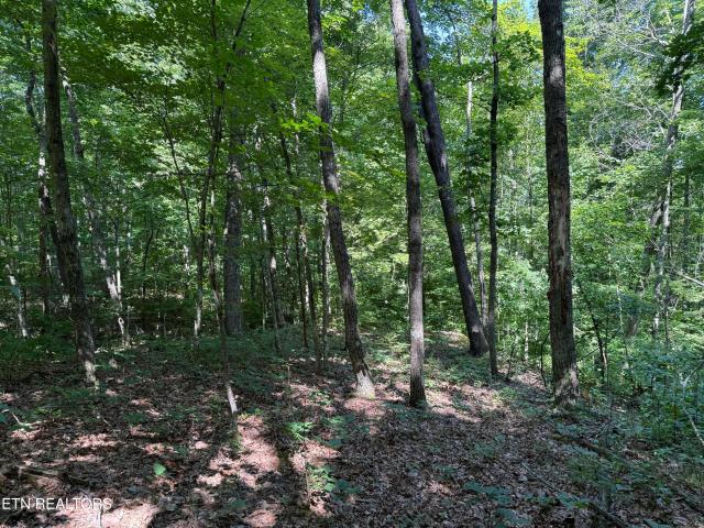 Land for sale in Tennessee