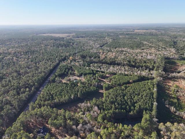Land for sale in Polk, Texas