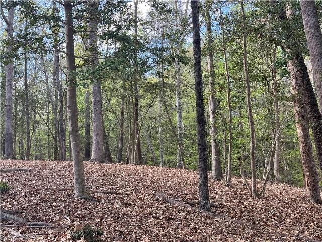 Land for sale in Virginia