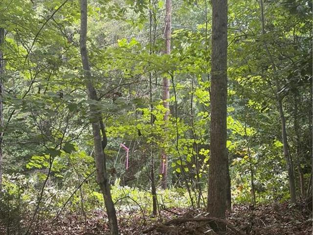 Land for sale in Wilkesboro, North Carolina