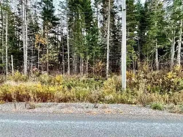 House for sale in Petersville, New Brunswick