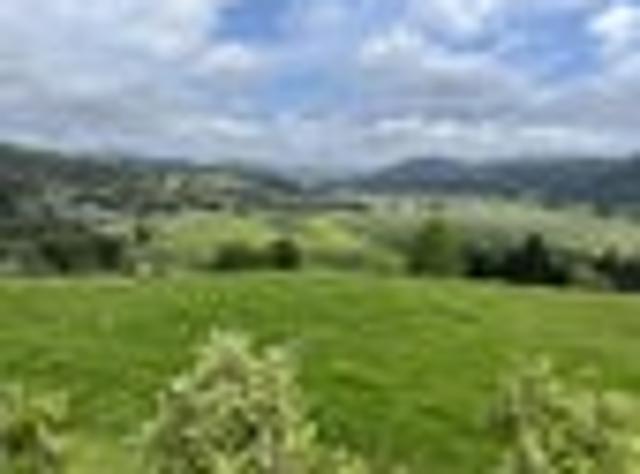 Land for sale in Napier