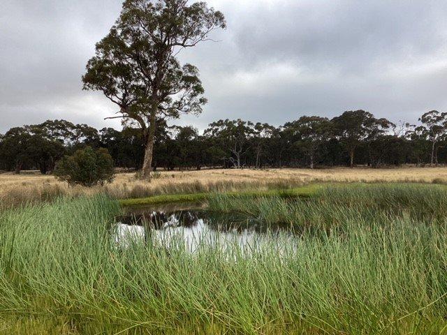 Cottage for sale in Beaufort, Victoria