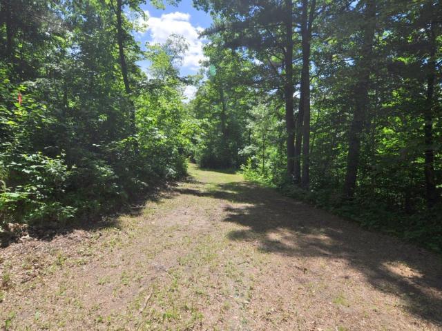 Land for sale in Akeley, Minnesota