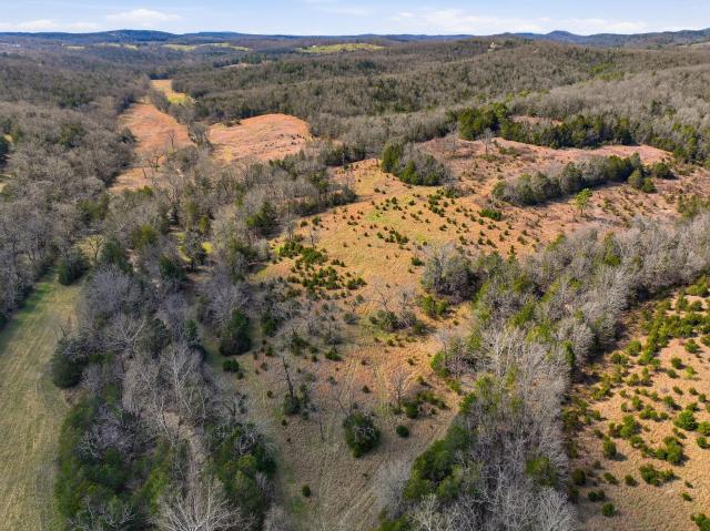 Land for sale in Gainesville, Missouri