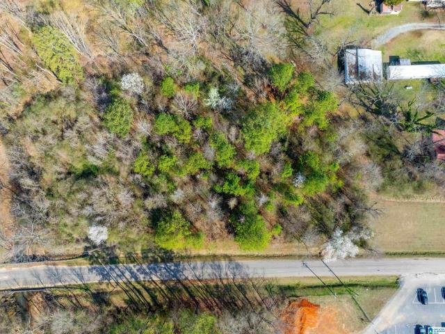 Land for sale in Jacksonville, Alabama