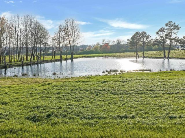Land for sale in Rainsville, Alabama