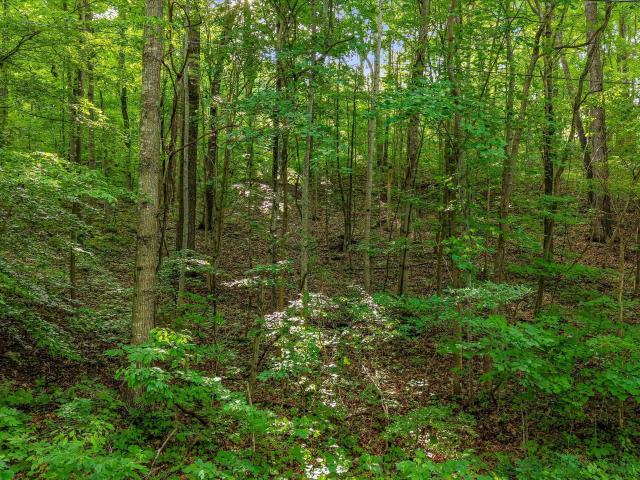 Land for sale in Tennessee