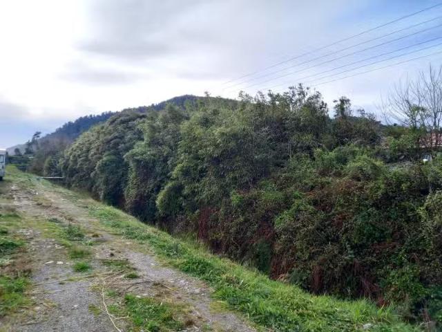House for sale in Hector, West Coast