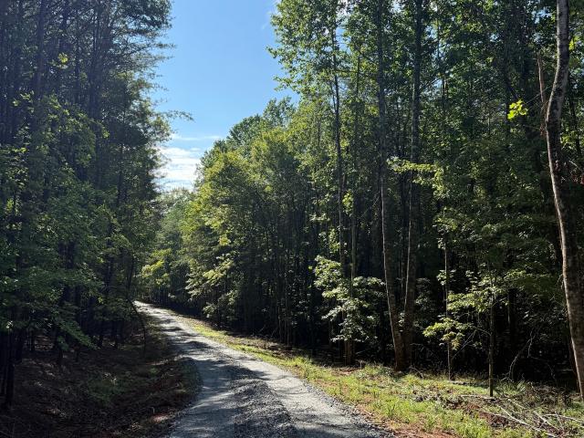 Land for sale in Sautee, White County