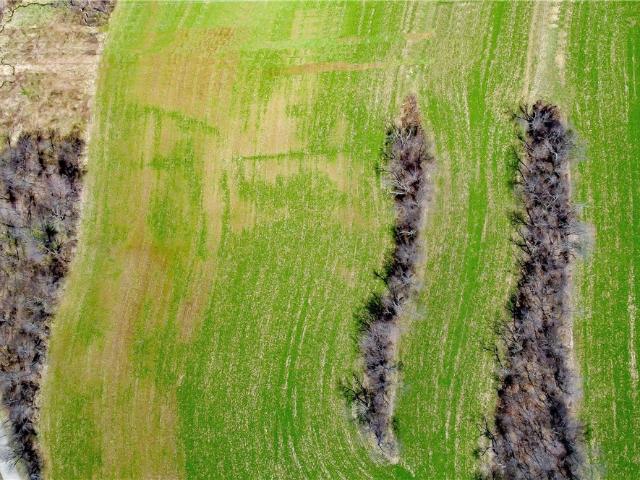 Farm for sale in Cabot, Pennsylvania