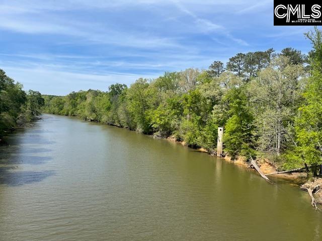 Land for sale in Silverstreet, South Carolina