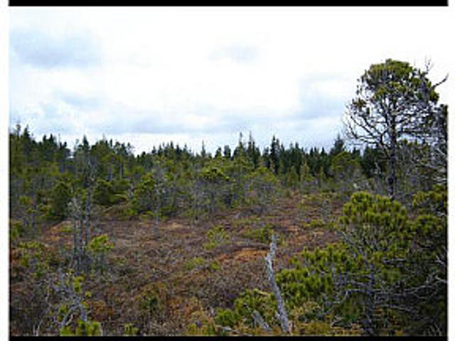 Land for sale in Southbank, British Columbia