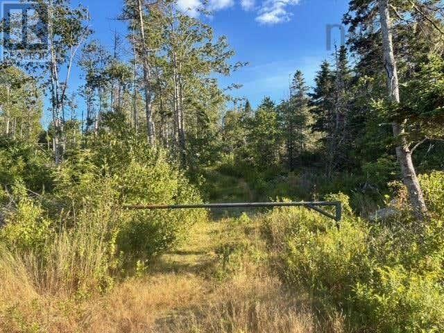 Land for sale in Mushaboom, Nova Scotia