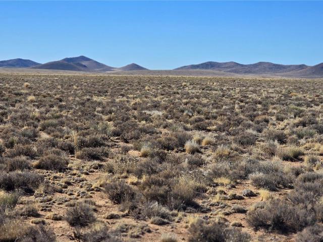 Land for sale in Blanca, Colorado