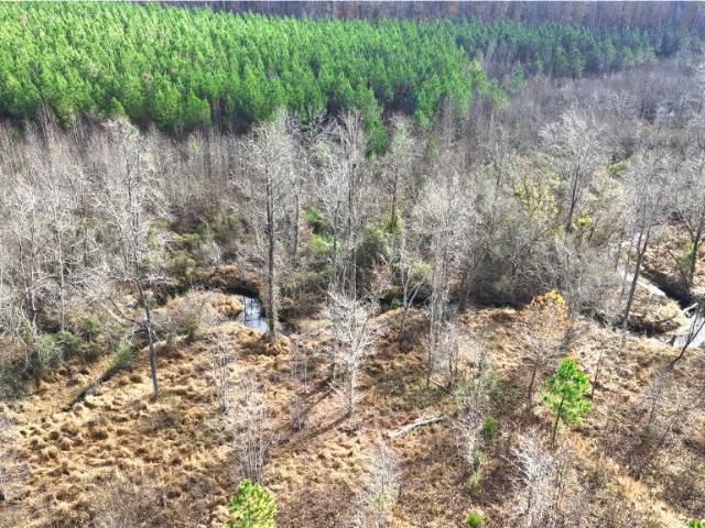 Land for sale in Roxboro, North Carolina