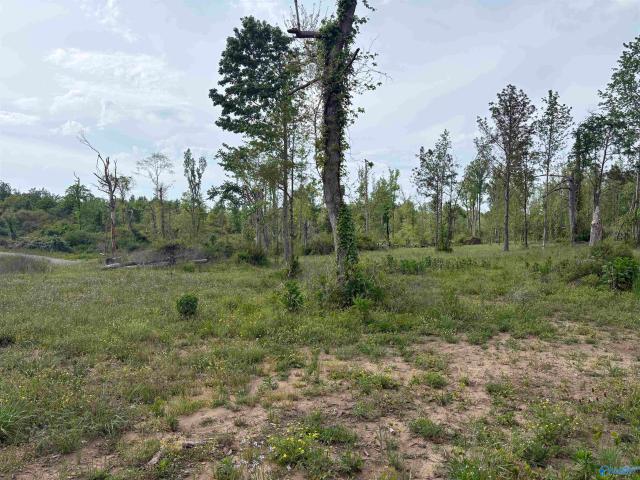 Land for sale in Henagar, Alabama