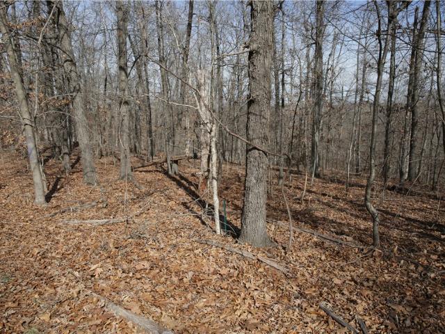 Land for sale in Ark
