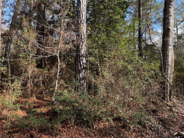 Land for sale in Zavalla, Texas