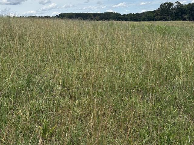Land for sale in Iva, South Carolina