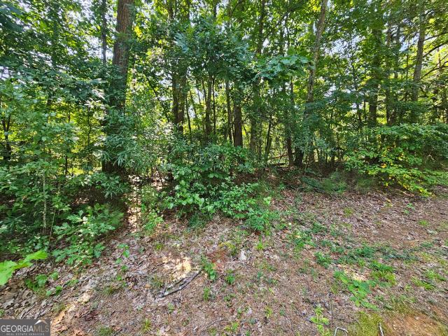 Land for sale in Bethlehem, Gwinnett County