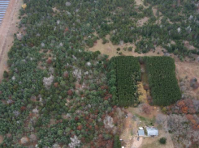 Land for sale in Stacy, Minnesota