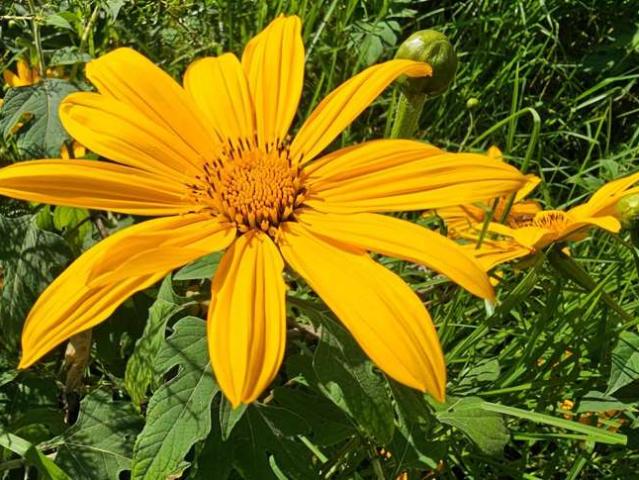 Property for sale in Ohaeawai, Northland
