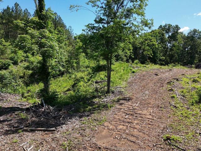 Land for sale in Tennessee