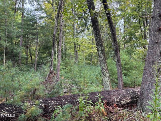 Land for sale in Tennessee