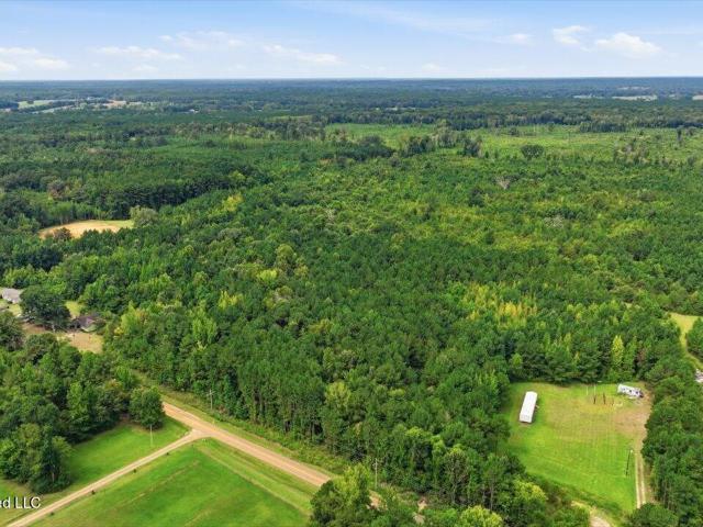 Land for sale in Canton, Mississippi