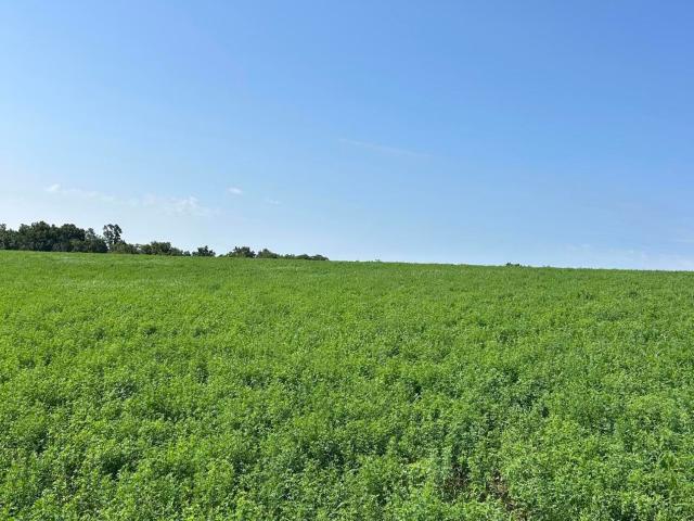 Land for sale in Cynthiana, Kentucky