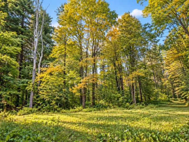 Land for sale in Berkshire Market Village, West Stockbridge