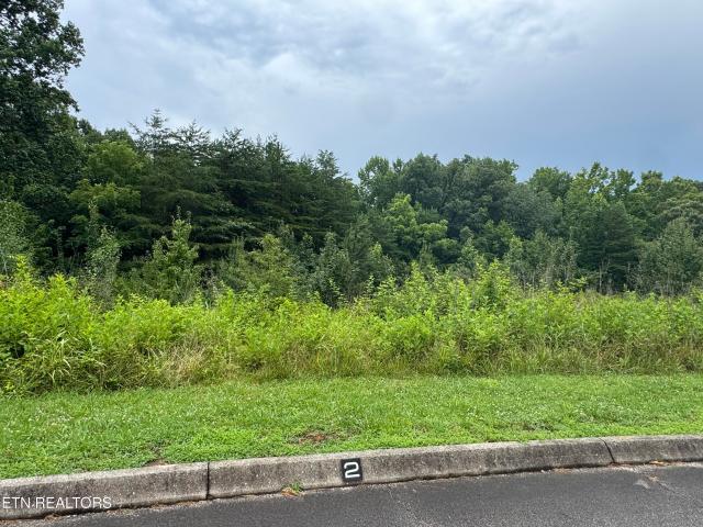 Land for sale in Tennessee