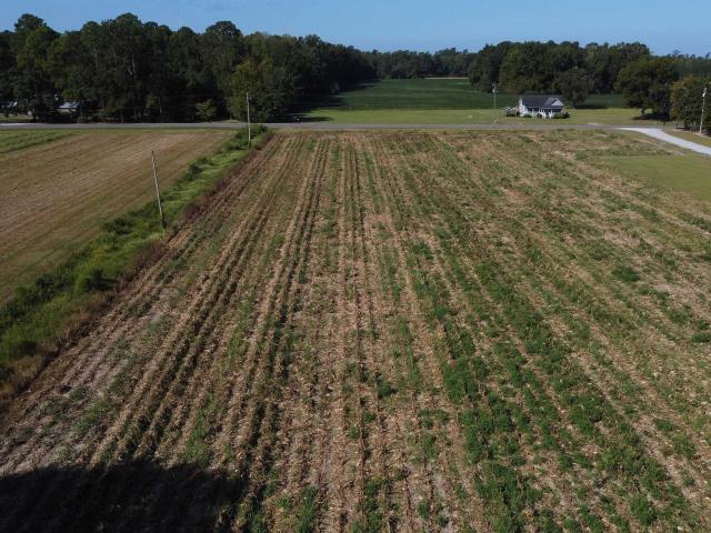 Land for sale in Galivants Ferry, Horry County