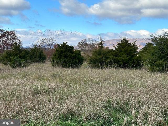 Land for sale in Keyser, West Virginia