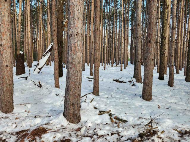 Land for sale in Packwaukee, Wisconsin
