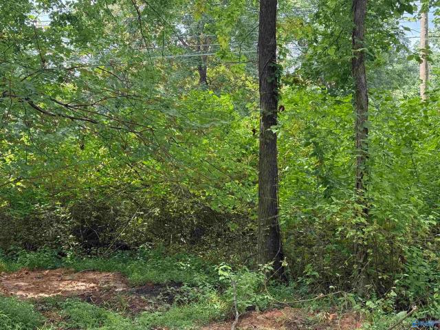Land for sale in Huntsville, Alabama