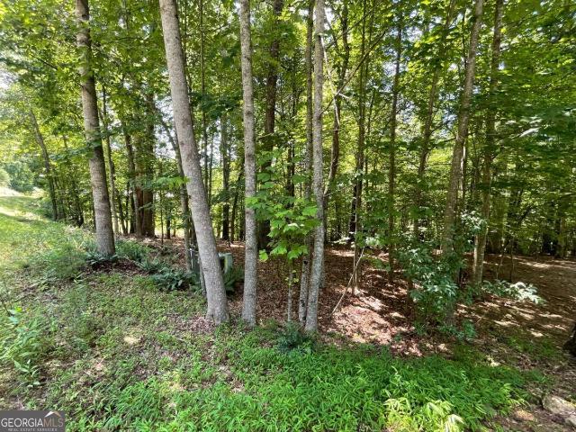 Land for sale in Blairsville, Georgia