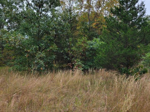 Land for sale in Lake Village, Indiana