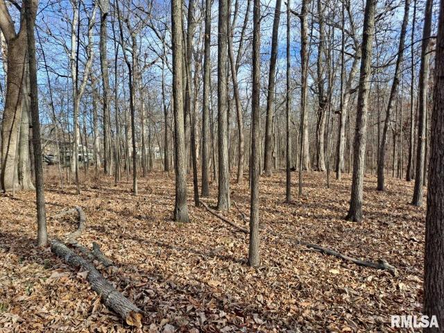 Land for sale in Mount Vernon, Illinois