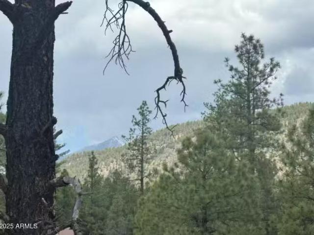 House for sale in Flagstaff