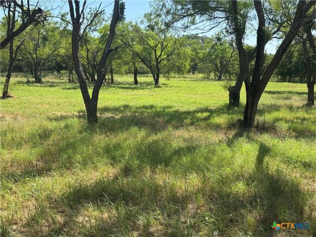 Land for sale in Bangs, Texas