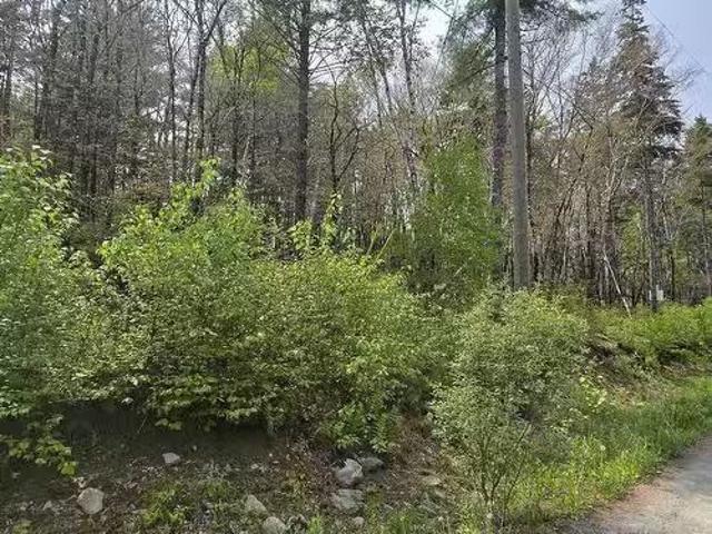 House for sale in Camperdown, Nova Scotia