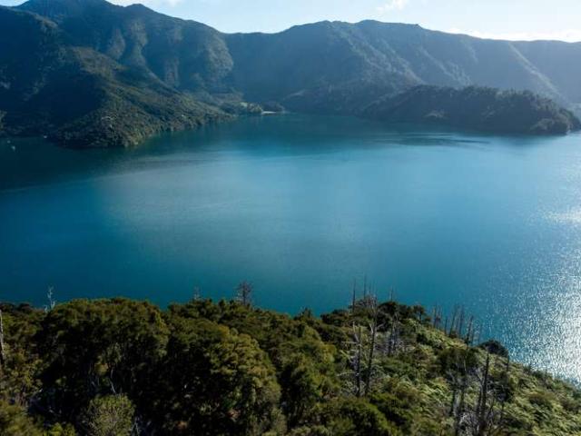 Property for sale in Marlborough